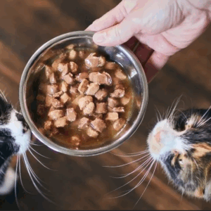 Grain-Free Natvoer voor Katten
