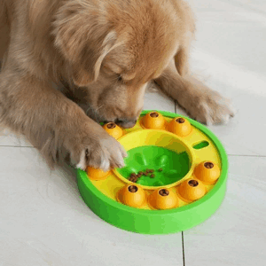 Interactief Voederpuzzel voor Honden