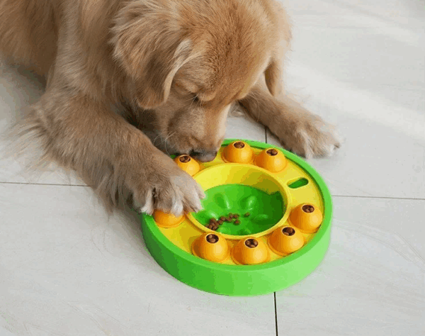 Interactief Voederpuzzel voor Honden