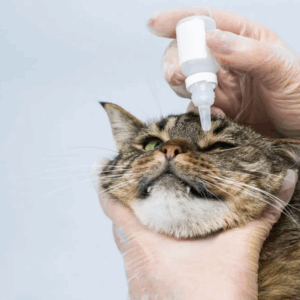 Milde Oogreiniger voor Katten