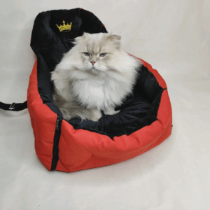 Autostoel voor Katten