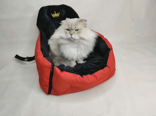 Autostoel voor Katten